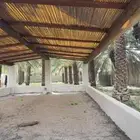 سعف جريد