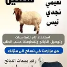 ذبائح للبيع الرياض