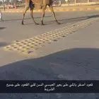 قعود