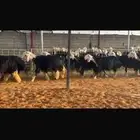 عرض نجد دفيع واصل