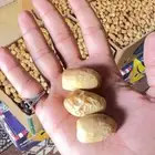 تمر جسب لباني فاخر والكميه محدوده