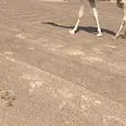 للبيع حقى