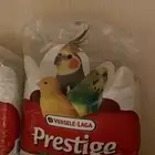 تصفيه رمل طيور وجميع مستلزمات الطيور