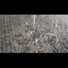 فروخ دجاج بلدي