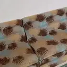 كنب نظيف