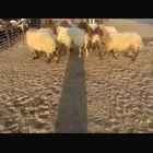 النعريه