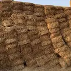 برسيم مخلوط اسعار ممتازه