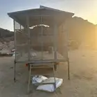 قلص