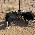 بهم نجد العدد 8