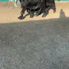 جفرات عوارض نوادر خصم الخصم