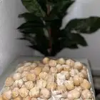 حلويات وبسكوتات