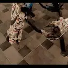 اسكوتر نظظظيف جدا