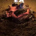 حطب سمر مستورد افريقي