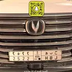 لوحة مميزة اوراقه جديدة الموقع الرياض