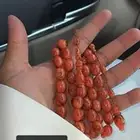 سبحه فاتروان خراطة عمار