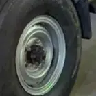 جنوط شنبر شاص