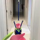 نطاطة اطفال