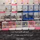 كناريه سوري تغريد