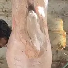 خرفان ذبايح نجد وحري حريات ونجدي شرط مغلق