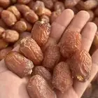 تمر اخلاص وادي