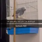 كاسكو متكلم
