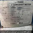 راس كهرب 300 حصان ودفاعه 25 حصان