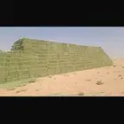 رودس طيب ورق ناعم