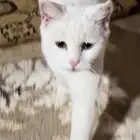 معثور عليها بالتسهيلات حي الخزامى