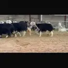 عرض بيع نجد
