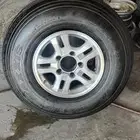 بوالين ماكسس 900