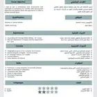 سيرة ذاتية احترافية