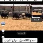 عرض بيع نجد فخمها