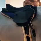 سرج ستيتوس استخدام مره وحده