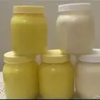 سمن غنم مديني
