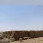 ذره حمرا جيزانيه ورق طيب الكميه محدوده