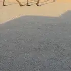 لقحه صفراء مجاهم