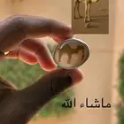 خاتم عقيق يماني مصور جمل  ابل نادر طبيعي صياغة الشريف طن فضة