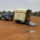 عربه خيل نقل خيل