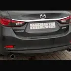 لوحة مميزه خصوصي اسد