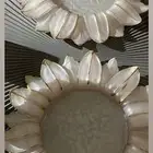 صواني ريزن تقديم