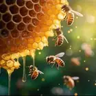 عسل سدر وسمر طبيعي 100 100