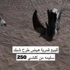 قمري هيض الموقع القريات