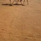 بكار وضح كفو جداا علئ ولد الحاكم