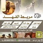 اسطبل الفهد