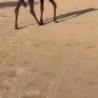 خلفه