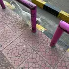 قطة محتاجه انقاذ