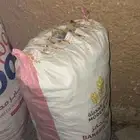 خبز نظيف للغنم