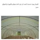 بيوت محمية بيشة