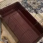 اعرض لكم قفص ارانب  بط قطط صغيره وبر