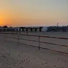اسطبل خيل للإيجار